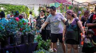 Moreno celebra la 24&deg; Fiesta del Plant&iacute;n Floral