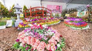 M&aacute;s de 35 mil personas en la Fiesta del Plant&iacute;n Floral