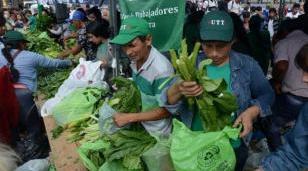Realizarán un verdurazo en Moreno Realizarán un verdurazo en Moreno
