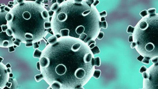 Informe Oficial sobre la situación del coronavirus