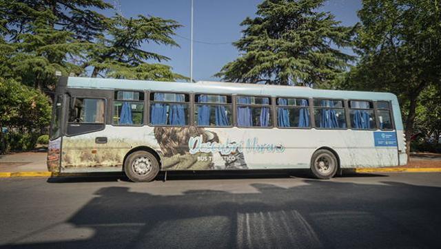 Viajá por Moreno con el Bus Turístico: astroturismo y safari fotográfico este fin de semana