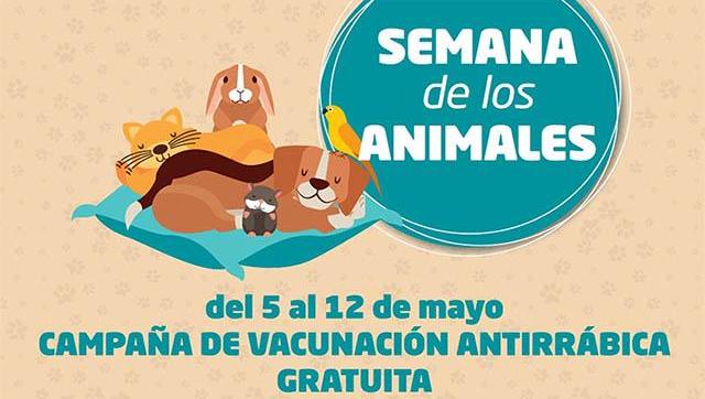 Morón lanza campaña gratuita de vacunación antirrábica