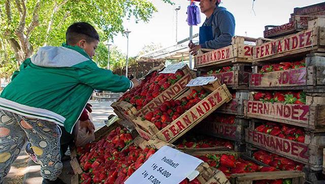 Semana de la Frutilla: producción local y consumo responsable en Moreno